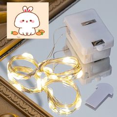 Dây Đèn LED Màu Sắc Ấm Áp - Trang Trí Bó Hoa, Tiệc Tùng, Lễ Hội, Decor Nhà Cửa - Tặng Kèm Pin Nhỏ Gọn