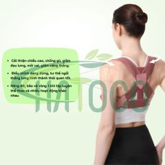Đai Chống Gù Lưng Hatoco - Đai Bảo Vệ Vòng 1 Support Thể Thao, Cải Thiện Vóc Dáng, Giảm Cơn Đau Lưng, Dành Cho Văn Phòng và Học Sinh