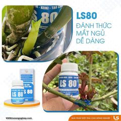 Keo Kích Chồi Bonsai LS80 - Keo Đặc Sệt 30gr Tạo Chồi Khỏe Mạnh, An Toàn Cho Cây Kiểng, Dễ Dùng Cho Người Làm Vườn