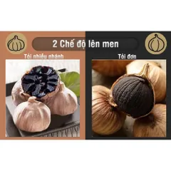 Nồi làm tỏi đen Nikio NK-688 - Dung tích 5L, công nghệ lên men tự động, tiết kiệm điện, thiết kế sang trọng, làm 1.5kg tỏi đơn giản.