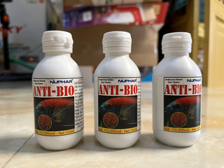 NUPHAR Anti Bio 100ml - Thuốc Điều Trị Nấm & Bệnh Ngoài Da Cho Cá Cảnh - An Toàn, Hiệu Quả Cho Cá Bảy Màu & Guppy