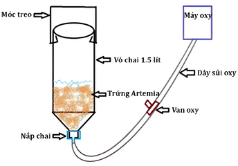 Bộ ấp Artemia Chuyên Dụng - Bộ Đồ Cho Cá Cảnh, Đầy Đủ Trang Thiết Bị, Ấp Artemia Sống Hiệu Quả