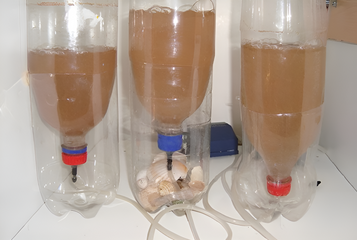 Bộ ấp Artemia Chuyên Dụng - Bộ Đồ Cho Cá Cảnh, Đầy Đủ Trang Thiết Bị, Ấp Artemia Sống Hiệu Quả