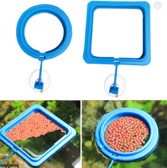 Vòng Đựng Thức Ăn Nổi Cho Cá - Loại Vuông & Tròn Tiện Lợi Giúp Giữ Sạch Bể Thủy Sinh
