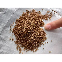 Thức Ăn Cá Cảnh TOTO - Cám Dinh Dưỡng Độ Đạm Cao Cho Guppy, Betta, và Các Loại Cá Thủy Sản Khác - Bổ Sung Protein và Khoáng Chất