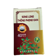 Viên uống hỗ trợ đau nhức xương khớp Song Long Thống Phong Đan - 40 viên, ngăn ngừa loãng xương và thoái hóa xương