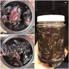 Mắm Mực Nguyên Chất 500g - Đặc Sản Xứ Nẫu Phú Yên, Nước Chấm Hoàn Hảo Cho Bánh Tráng Và Món Kho Thơm Ngon