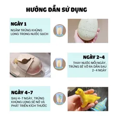 Trứng khủng long thần kỳ ngâm nước tự nở Go Dinosaur - Cỡ lớn - Kích thích sự tò mò cho trẻ - thegioidochoi1104
