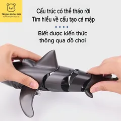 Đồ chơi Cá Mập điều khiển từ xa 2.4GHZ - Có đèn chiếu - Chống thấm nước - Kích thích trí não cho bé - thegioidochoi1104