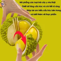 Bộ đồ chơi cắt trái cây, rau củ, hải sản 31 chi tiết - Giúp bé phát triển tư duy sáng tạo