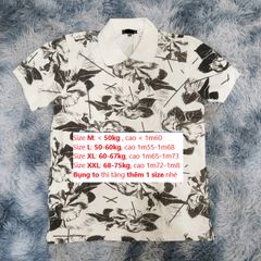 Áo Polo Nam Cổ Bẻ Họa Tiết Phối Hoa - Cotton Cao Cấp, Thoáng Mát, Nhiều Màu Đen, Trắng, Xanh Than Thời Trang Thanh Lịch