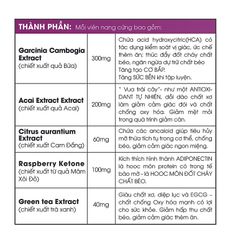 Viên Uống Giảm Cân Fit MORE New Zealand - Hỗ Trợ Giảm Mỡ, Tăng Cường Chuyển Hóa, 40 Viên Cho Người Lớn