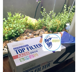 Máy Bơm Lọc Nước Bể Cá Aquachole TOP FILTER AA-288 - Thiết Bị Chuyên Dụng, Lọc Sạch, Cung Cấp Oxy Cho Hồ Cá Dưới 120L