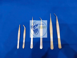 Bộ Nhíp Thủy Sinh Thẳng và Cong - Dụng Cụ Trồng Cây Hồ Cá, Kích Thước 10-16cm, Chất Liệu Thép Không Gỉ