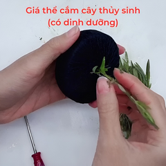 Giá Thể Quấn Len Dinh Dưỡng - Giá Thể Trồng Cây Thủy Sinh Cho Hồ Cá Cảnh, Kích Thước 5cm và 7cm