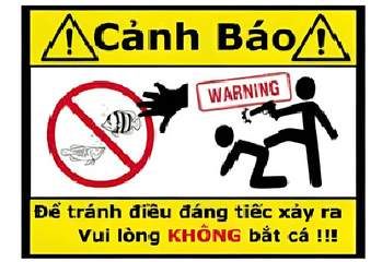 Decal Cảnh Báo Vui Nhộn Dán Hồ Cá Cảnh - Chất Liệu Nhựa, Tăng Tính An Toàn và Giải Trí Cho Hồ Cá