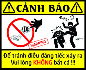 Decal Cảnh Báo Vui Nhộn Dán Hồ Cá Cảnh - Chất Liệu Nhựa, Tăng Tính An Toàn và Giải Trí Cho Hồ Cá