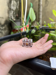Tiểu Cảnh Rương Kho Báu - Trang Trí Hồ Cá Cảnh Độc Đáo, Chất Liệu Nhựa, Kích Thước Nhỏ Gọn 2.45x2x2.6 cm