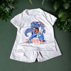 Bộ quần áo thun mềm co giãn 4 chiều họa tiết Khủng long T-Rex nhiều màu tay ngắn cho bé