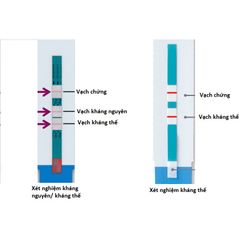 Bộ test HIV phát hiện sớm - Que thử thế hệ thứ 4 Alere & CTK Combo Ag/Ab, kết quả chính xác sau chỉ 14 ngày, dễ sử dụng