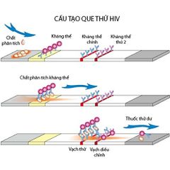 Test Nhanh Viêm Gan C Dạng Que 4mm - Xét Nghiệm Định Tính Kháng Thể HCV - Kết Quả Nhanh Chỉ Trong 10 Phút, Độ Nhạy 99,9%