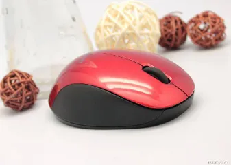 Chuột Không Dây Born C113 - Chuột Ergonomic Nhỏ Gọn Tương Thích Laptop, PC, Smart TV - Kết Nối Không Dây 10m, Độ Phân Giải 1600dpi