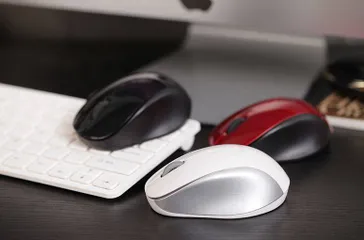 Chuột Không Dây Born C113 - Chuột Ergonomic Nhỏ Gọn Tương Thích Laptop, PC, Smart TV - Kết Nối Không Dây 10m, Độ Phân Giải 1600dpi
