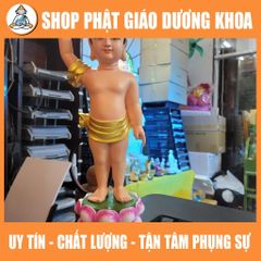 HOẢ TỐC, TƯỢNG PHẬT ĐẢN SANH CAO 40cm CÓ SẴN GIAO NGAY - VẺ MÀU ĐS09