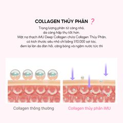 Mặt Nạ Thạch iMU Deep Collagen Jelly Pack 34g - Dưỡng Ẩm, Làm Sáng Da, Chống Lão Hóa, Xuất Xứ Hàn Quốc - Hộp 4 Miếng