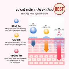 Mặt Nạ Thạch Collagen iMU Deep Jelly Pack 34g - Dưỡng Ẩm, Chống Lão Hóa, Làm Sáng Da, Xuất xứ Hàn Quốc - Hộp 4 Miếng