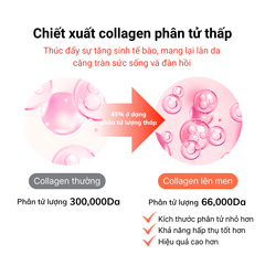 Kem Chống Nắng IMU Deep Collagen 50ml - Dưỡng Ẩm, Chỉ Số SPF50+ PA++++, Bảo Vệ Da Tối Ưu, Thích Hợp Mọi Loại Da