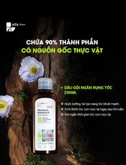 Dầu Gội Chống Rụng Tóc Elfa Pharm 200ml - Chiết Xuất Ngưu Bàng Giúp Kích Thích Mọc Tóc Chắc Khỏe Từ Thực Vật Quý