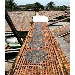 50 Cái Bánh Tráng Mè Đen Nước Cốt Dừa - Đặc Sản Tây Ninh Thơm Ngon Dinh Dưỡng Cho Mọi Lứa Tuổi