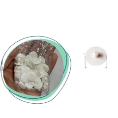 Nút Nhựa Bịt Đầu Vít - Nút Chụp Liên Kết 10 mm - Bịch 100 cái - Chất Lượng Cao - Nhiều màu