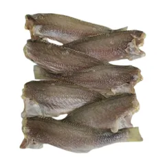 Khô Cá Đù 1 KG - Hàng Chất Lượng Từ Miền Tây, Không Hóa Chất, Phù Hợp Cho Biếu Tặng, Dễ Chế Biến, Nguyên Liệu Tự Nhiên
