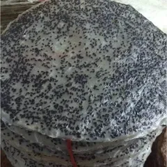 Bánh Tráng Mè Đen Nước Cốt Dừa Tây Ninh - Gói 50 Cái Ngon Miệng, Hương Vị Truyền Thống, Món Ăn Vặt Đặc Biệt