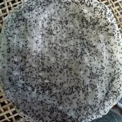 Bánh Tráng Mè Đen Nước Cốt Dừa Tây Ninh - Gói 50 Cái Ngon Miệng, Hương Vị Truyền Thống, Món Ăn Vặt Đặc Biệt
