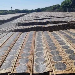 Bánh Tráng Mè Đen Nước Cốt Dừa Tây Ninh - Gói 50 Cái Ngon Miệng, Hương Vị Truyền Thống, Món Ăn Vặt Đặc Biệt