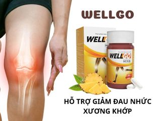Viên uống Wellgo giảm đau nhức xương khớp - Thực phẩm bổ trợ sức khỏe, hộp 30 viên cho người cao tuổi và trung niên