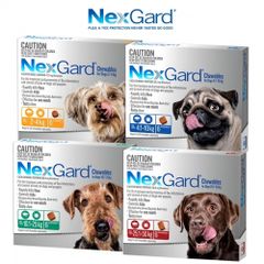 Viên Nhai NexGard Spectra Loại Bỏ Ve, Ghẻ, Bọ Chét Cho Chó 10-50kg - Giải Pháp Bảo Vệ Sức Khỏe Thú Cưng Hiệu Quả