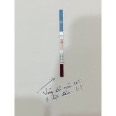 Bộ Test xét nghiệm Vi Khuẩn HP dạ dầy (H. Pylori) Chính hãng Fastep Mỹ