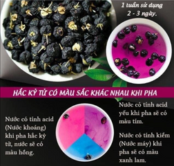 Hắc Kỷ Tử Mỹ Suncore Food - Hoa Quả Sấy Khô Black Goji Berries Hộp 454G - Tăng Cường Miễn Dịch, Cải Thiện Thị Lực