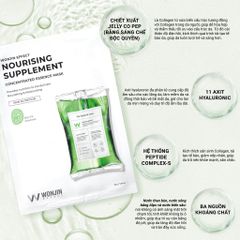 Mặt Nạ Wonjin Nourishing Supplement Phục Hồi Chuyên Sâu 30g - Cấp Ẩm và Tái Tạo Da, Dưỡng Chất Collagen và Axit Hyaluronic