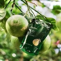 Dầu Gội Cocoon Bưởi 500ml - Giảm Rụng & Hỗ Trợ Mọc Tóc Dày Chắc Khỏe - Dầu Gội Từ Tinh Dầu Vỏ Bưởi Việt Nam