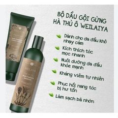 Cặp Dầu Gội Xả Hà Thủ Ô Weilaiya Gừng Kích Mọc Tóc - Giúp Tóc Khỏe, Đen Mượt, Ngăn Rụng Tóc - Suitable for Mẹ Bầu và Mẹ Bỉm Sữa