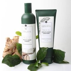 Bộ Dầu Gội Xả Weilaiya Gừng Kích Mọc Tóc 400ml & 250ml - Ngăn Rụng Tóc, Chăm Sóc Tóc Khoẻ Đẹp Từ Thiên Nhiên
