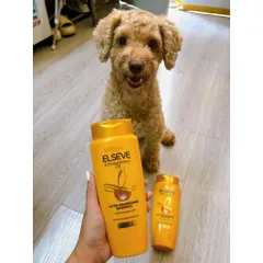 [Date 9/24] Dầu Gội Chiết Xuất Tinh Dầu Hoa tự nhiên L'Oréal Paris Elseve Extraordinary Oil 280ml