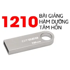 USB Kingston 1210 Bài Pháp Thoại Hàm Dưỡng Tâm Hồn - Thư Viện Di Động về Phật Giáo và Hạnh Phúc Cuộc Sống