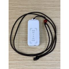 Máy Niệm Phật Mini 10 Bài A Di Đà - Thiết Bị Tụng Kinh Siêu Nhỏ Có Jack Tai Nghe & Khe Thẻ Nhớ - Quà Tặng Ý Nghĩa