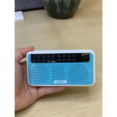 Loa Đài Pháp Thoại Rolton E500 - Loa Bluetooth Đa Chức Năng với FM, Thẻ Nhớ và Ghi Âm, Phù Hợp Cho Kích Hoạt Chụp Ảnh Tự Sướng